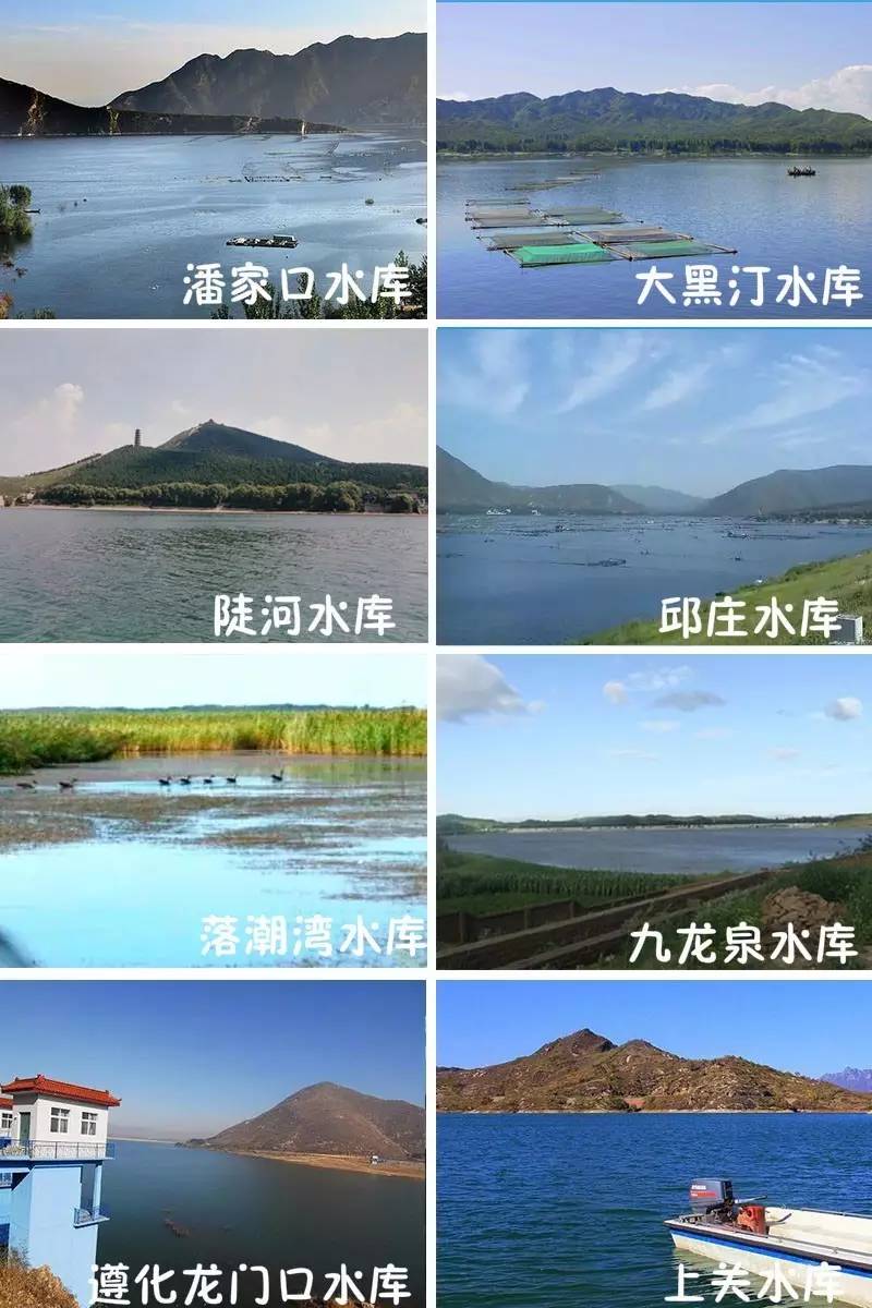 一封辞职信火遍整个日照,又一封辞职信刷爆朋友圈