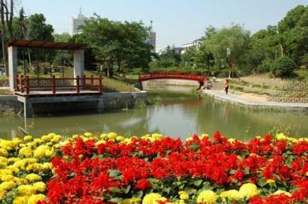 世界那么大！我想去看看之山东菏泽！