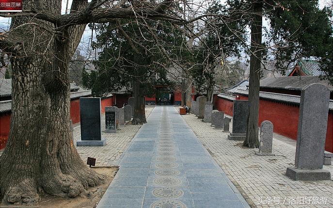 好导游平台,好导游平台推荐讲解