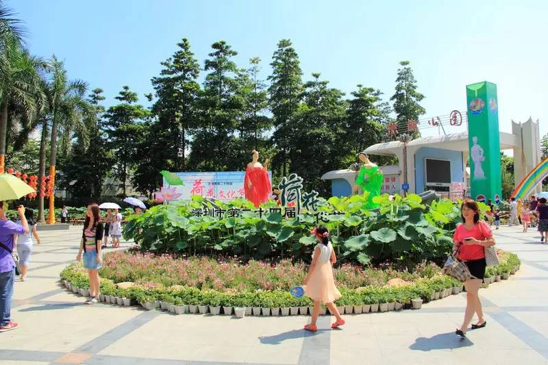 深圳十大免费公园排名前十名,深圳60岁老人免费公园