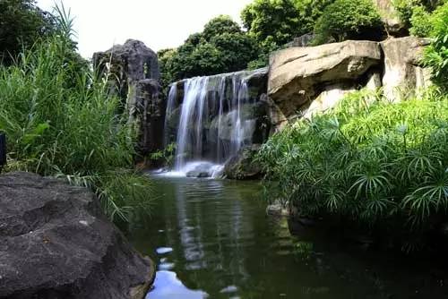 深圳十大免费公园排名前十名,深圳60岁老人免费公园