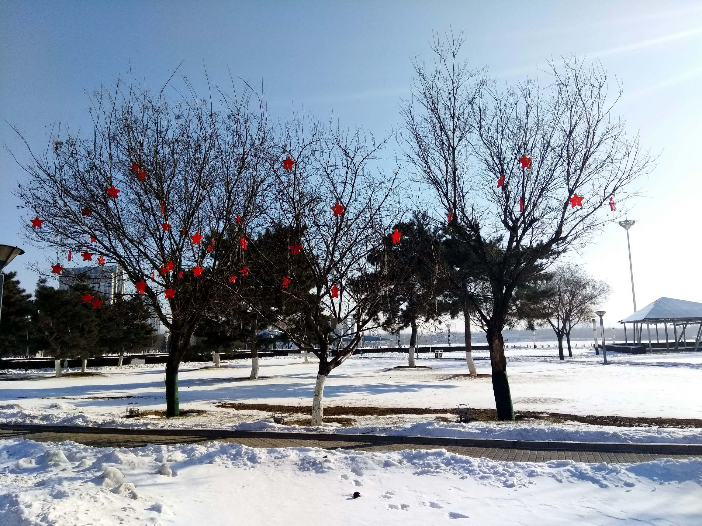 coolchange1c手机,不容小看