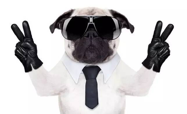 怎样挑选性价比高的行车记录仪,如何挑选360度全景行车记录仪