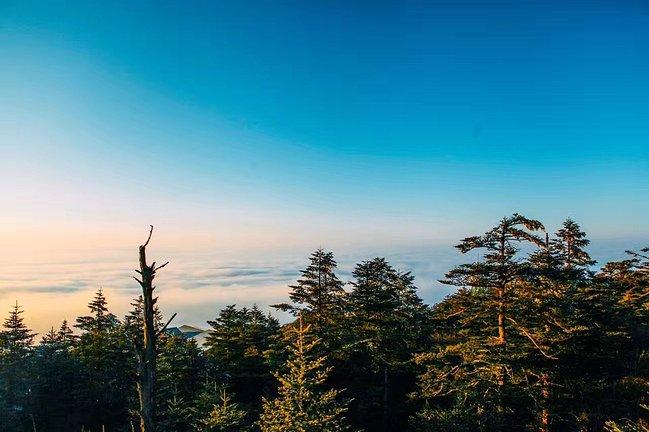 峨眉山吃住行,峨眉山吃住最佳攻略