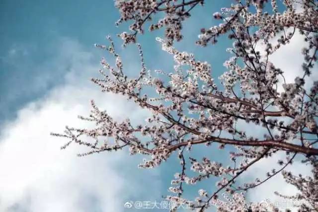 林志玲360无死角是真的美,全球最美360无死角的美女