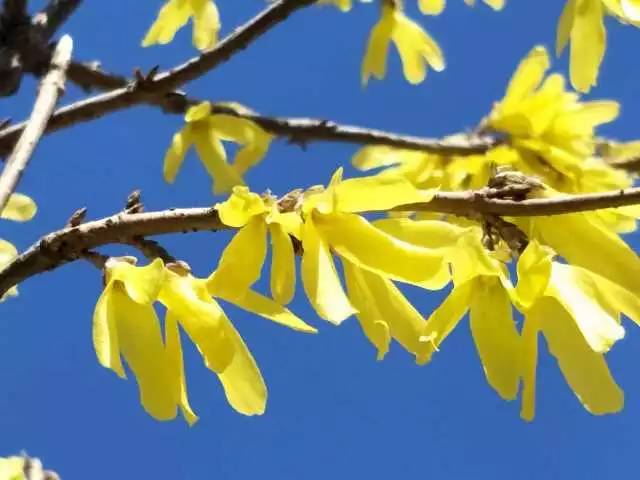 林志玲360无死角是真的美,全球最美360无死角的美女