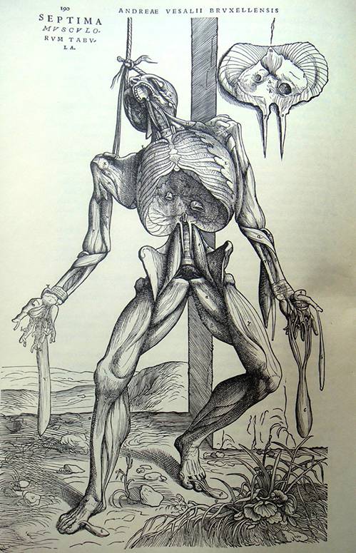 到头方信鬼无皮│左图右史