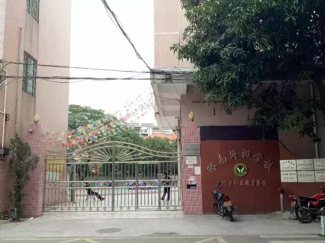 番禺｜桥南两所民办小学开始接受报名咨询，预计招生450人！