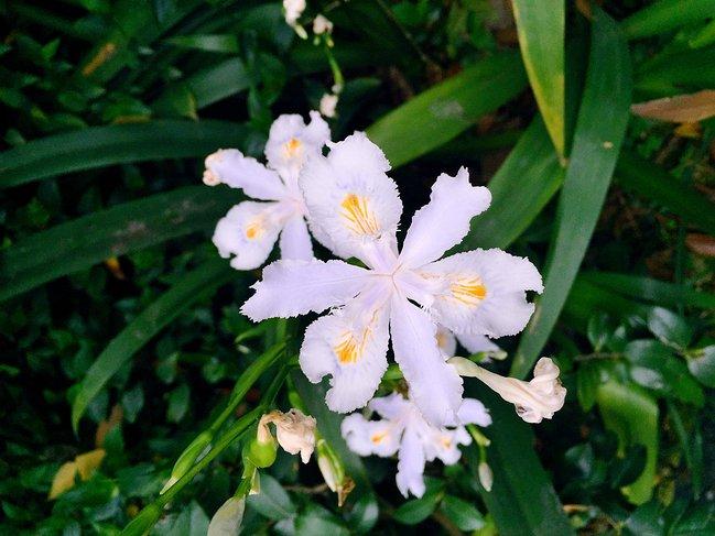 峨眉山吃住行,峨眉山吃住最佳攻略