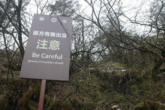 峨眉山吃住行,峨眉山吃住最佳攻略