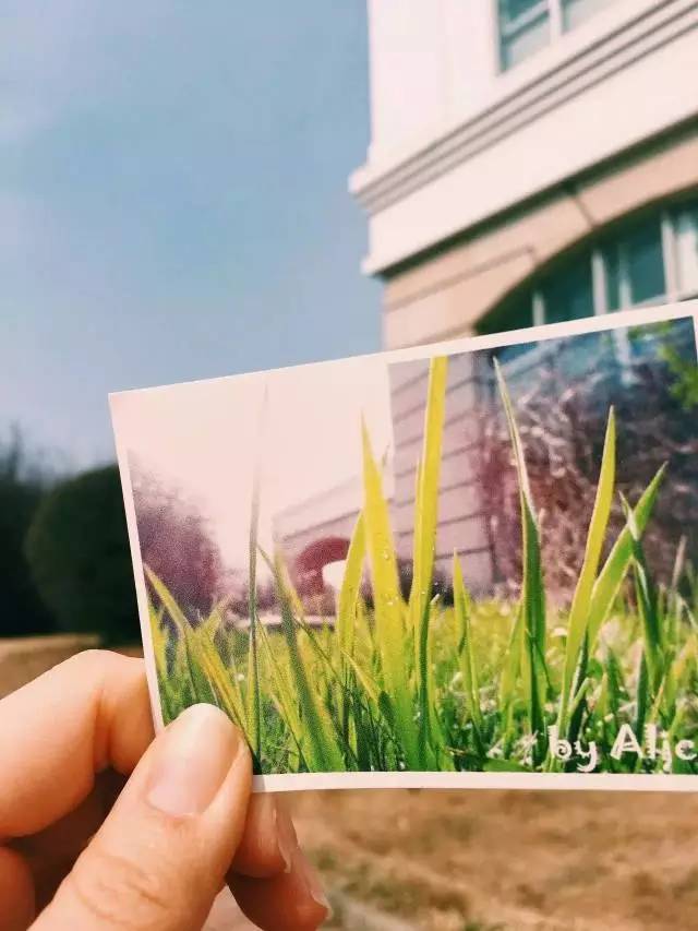 林志玲360无死角是真的美,全球最美360无死角的美女