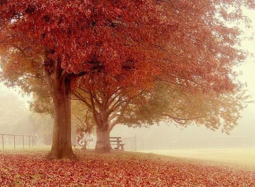 纯天然芦荟胶的正确使用方法,芦荟胶最全的使用方法