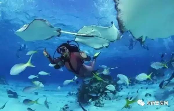 三亚旅游攻略大全景点推荐,海南三亚旅游攻略