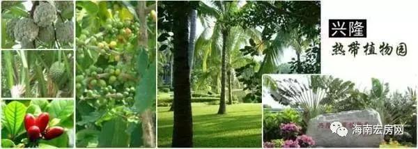 三亚旅游攻略大全景点推荐,海南三亚旅游攻略