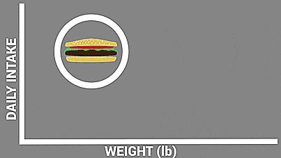 一个手机配件，就能让你活久点