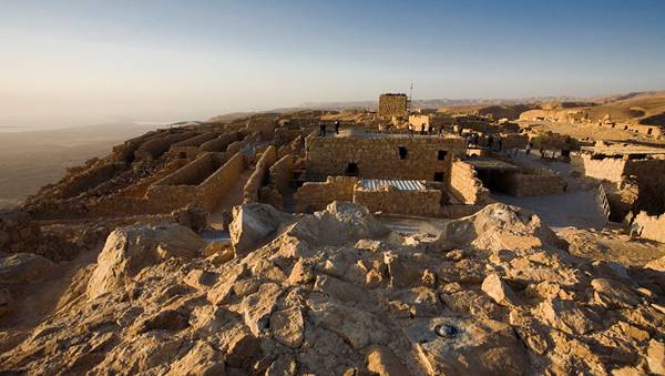 每日花语：4月16日郁金香-同日之星徐静蕾/舒淇（音配图）