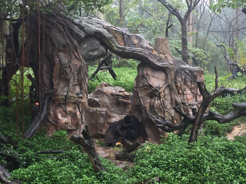 长隆番禺野生动物园攻略,番禺长隆野生动物园门票攻略