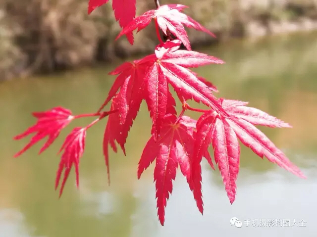 你一定要知道的夜景拍摄教程,怎样拍夜景才能人像清晰背景明亮