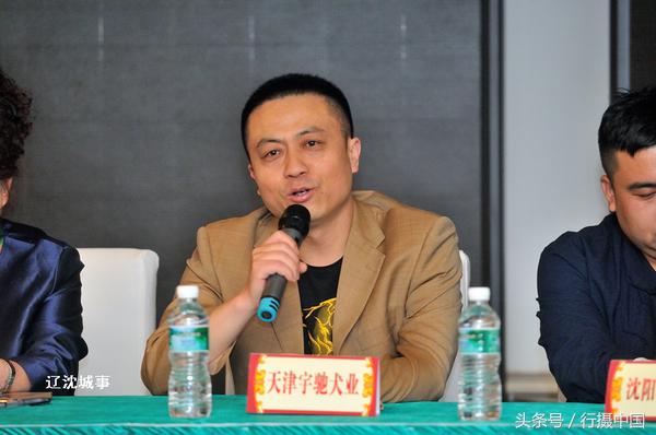 西敏寺犬展法国斗牛,法国国际肉牛博览会