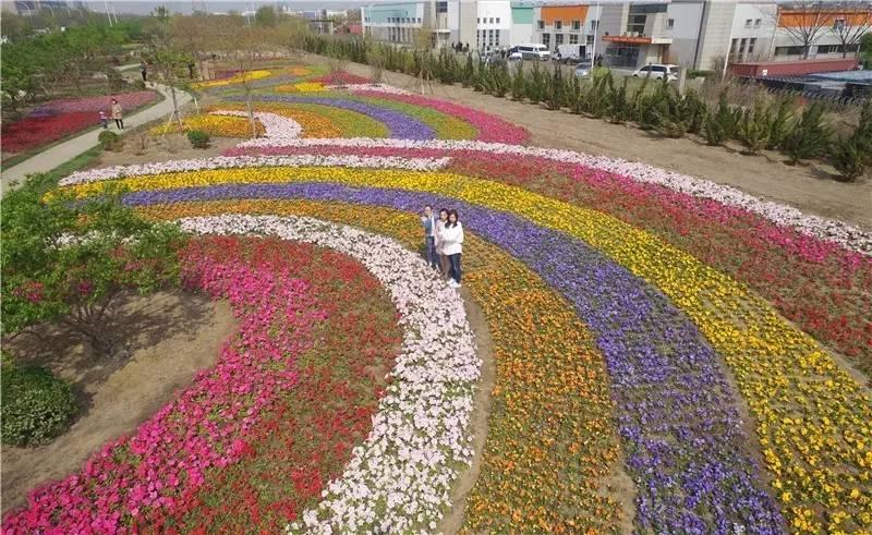 繁花似锦春天到来,繁花似锦的春天如约而至