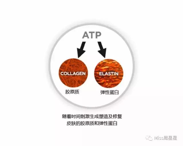 专家来告诉你美容仪真的管用吗,美容仪真的有用吗运用了哪些原理