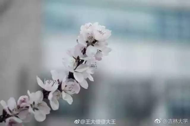 林志玲360无死角是真的美,全球最美360无死角的美女