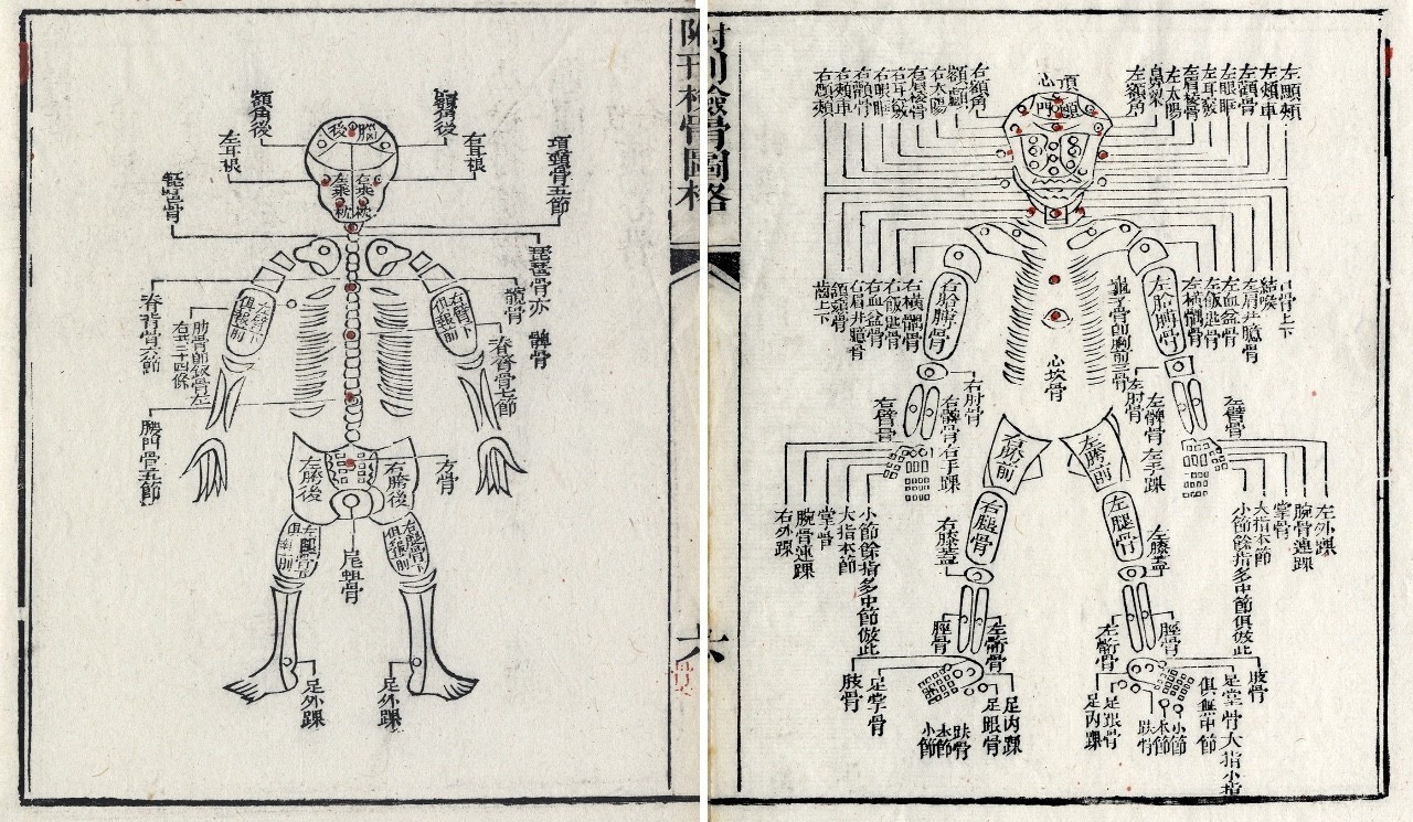 到头方信鬼无皮│左图右史