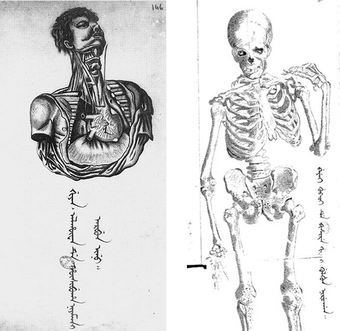 到头方信鬼无皮│左图右史