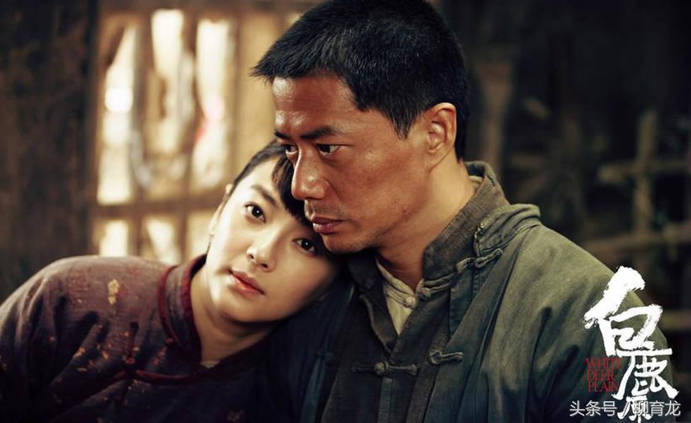 贾平凹《废都》中泡荔枝，陈忠实《白鹿原》中泡枣，你想看那个？