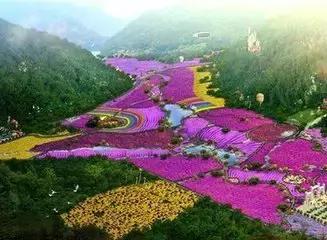 延安-沈阳往返700起，一路逛吃！