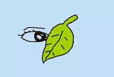 看图猜成语全猜对的是学霸,看图猜成语看你猜对几个