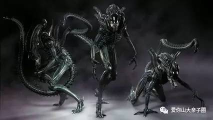 惊掉你下巴的“变态”虫生！盘点动物界那些长着长着就变形的主儿