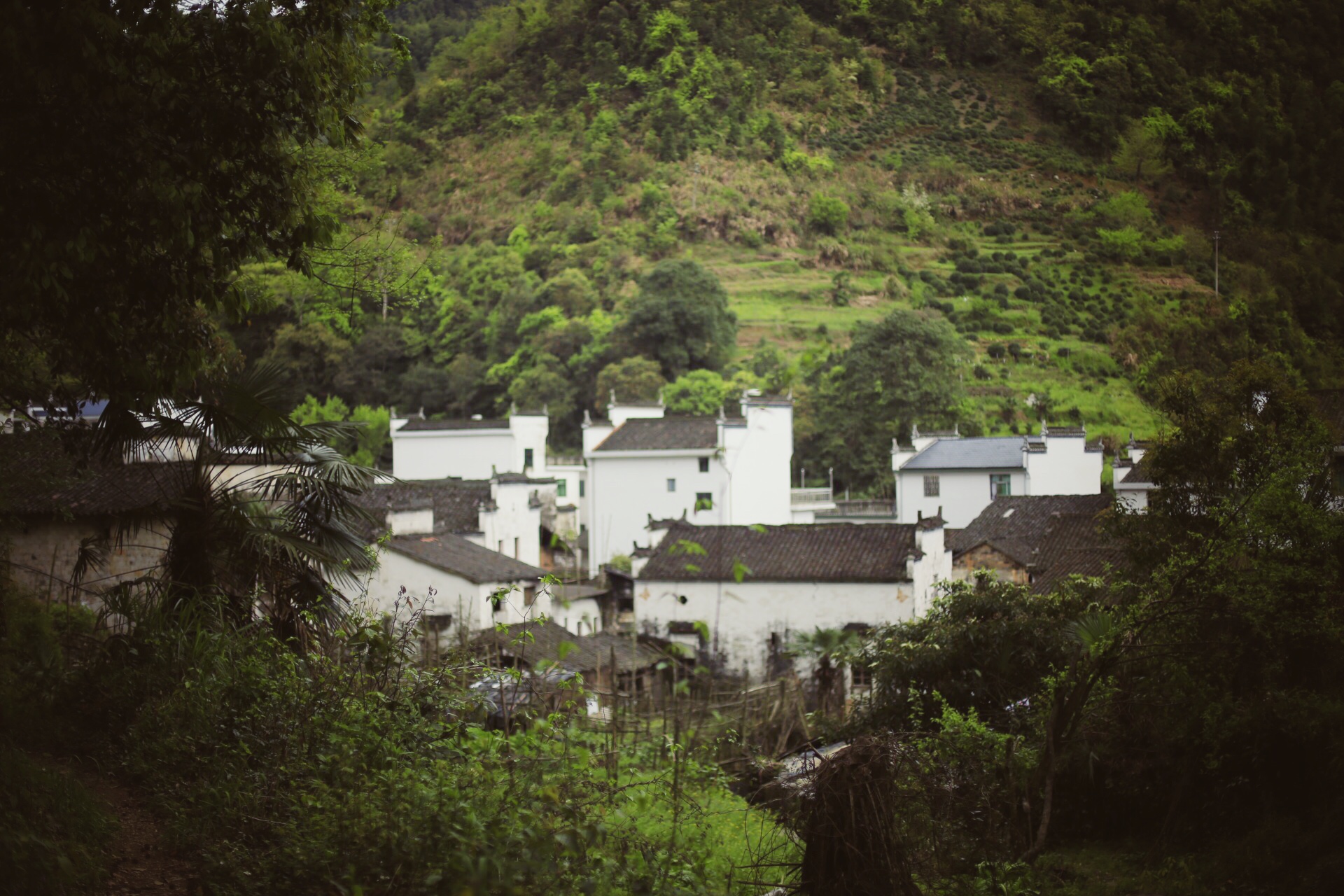 一个四月下午，一个僧人，一个茶商的故事