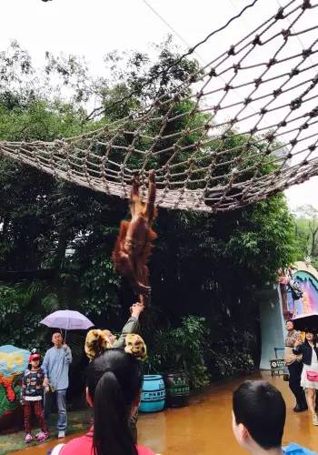 长隆番禺野生动物园攻略,番禺长隆野生动物园门票攻略