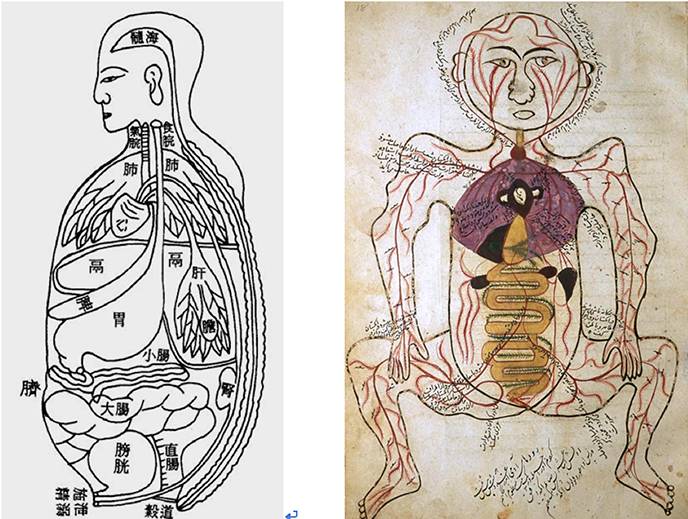 到头方信鬼无皮│左图右史