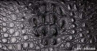 鳄鱼皮手表和小牛皮表带的区别,手表牛皮表带与鳄鱼表带哪个好