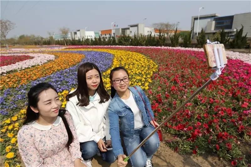 繁花似锦春天到来,繁花似锦的春天如约而至