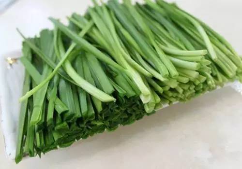 韭菜含有丰富的维生素,春天韭菜第一茬为什么不能吃