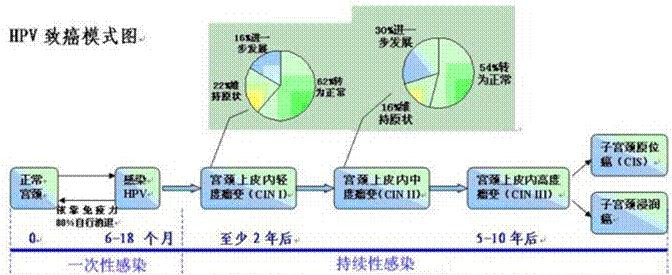 女性朋友必读：宫颈癌原来是传染病，完全可以杜绝