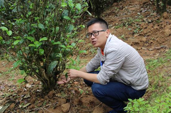 浜戝崡鍕愬簱鎴庢皬鍒惰尪涓栧,鍕愬簱鎴庢皬鍒惰尪宸ヨ壓