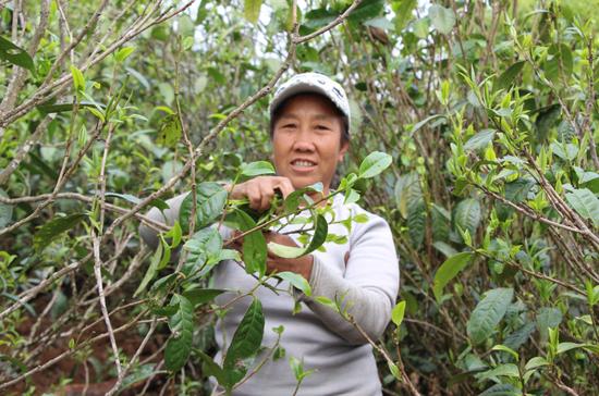 浜戝崡鍕愬簱鎴庢皬鍒惰尪涓栧,鍕愬簱鎴庢皬鍒惰尪宸ヨ壓