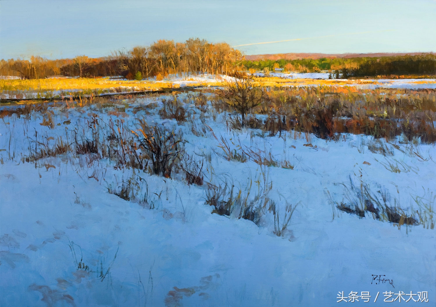 傅大力油画风景写生视频,张冬峰油画风景写生视频