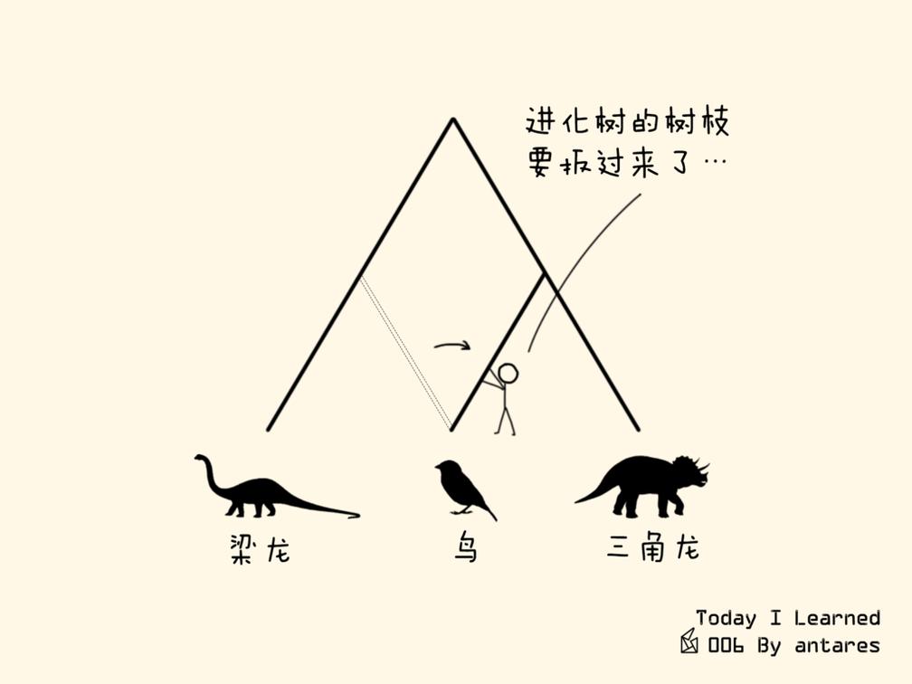 恐龙分类大洗牌，麻雀角龙一家亲丨玉米熊放学小报No.220