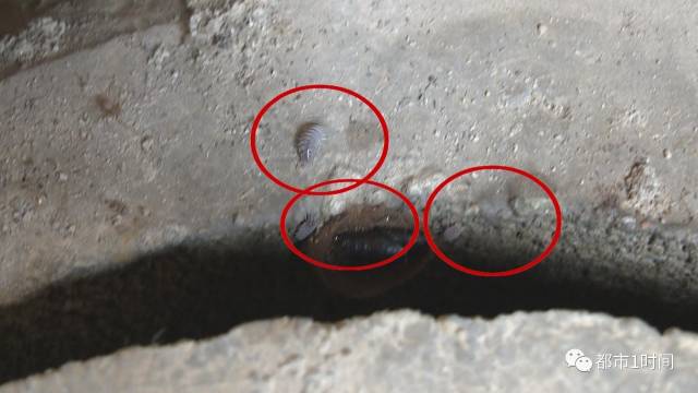 桶装水黑幕为何屡禁不止,桶装水的猫腻是什么