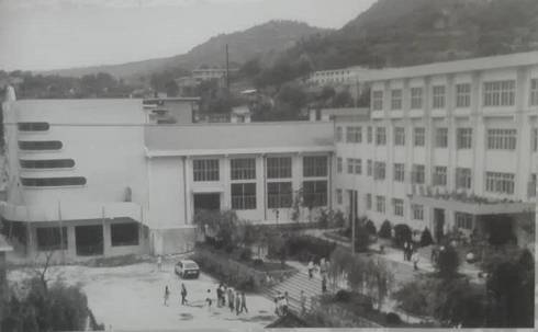 宝鸡的特点有哪些,宝鸡的特点都有什么