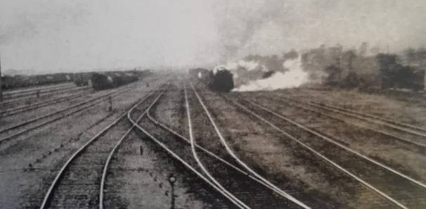 宝鸡的特点有哪些,宝鸡的特点都有什么