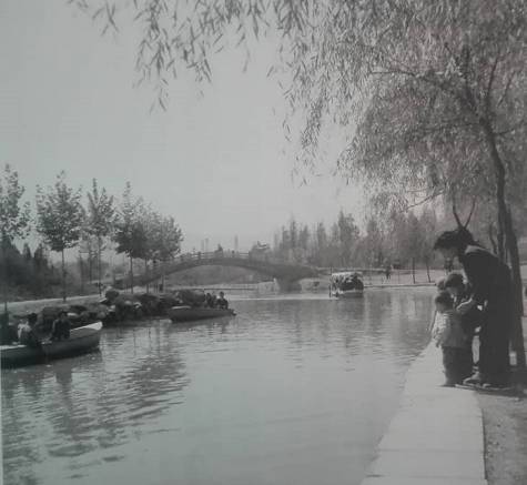 宝鸡的特点有哪些,宝鸡的特点都有什么