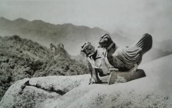 宝鸡的特点有哪些,宝鸡的特点都有什么