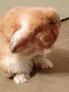 韩国男士洗面奶推荐品牌排行榜,cleansingfoam韩国洗面奶