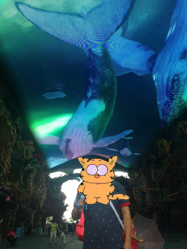 珠海长隆海洋王国攻略2天亲子游,珠海长隆海洋王国旅游亲子攻略
